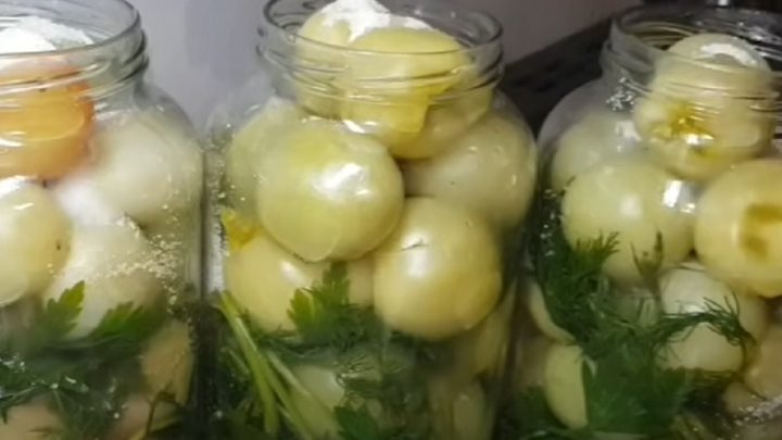 Zelená rajčata na zimu s feferonkou