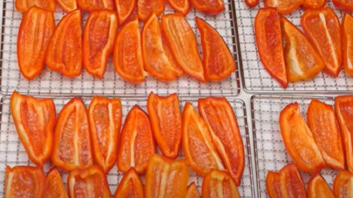 Sušené papriky v oleji s česnekem