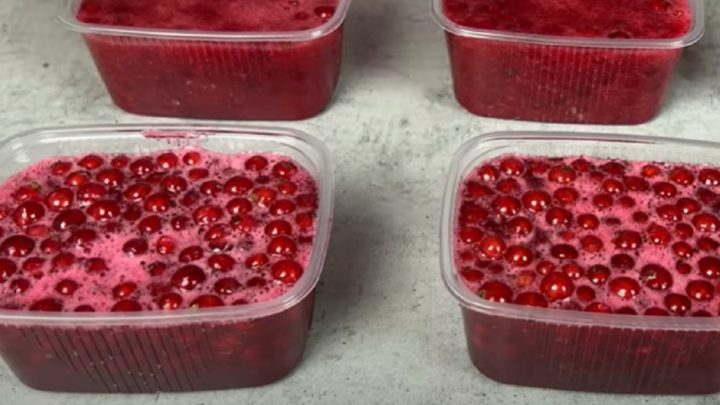 Mražený rybíz jen ze 2 ingrediencí