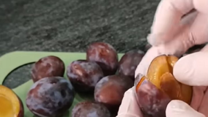 Vláčný švestkový koláč se skořicí