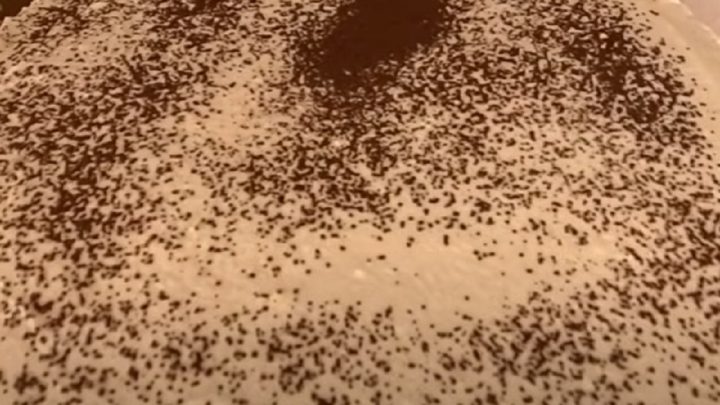 Dort s jablečnou náplní a kakaem