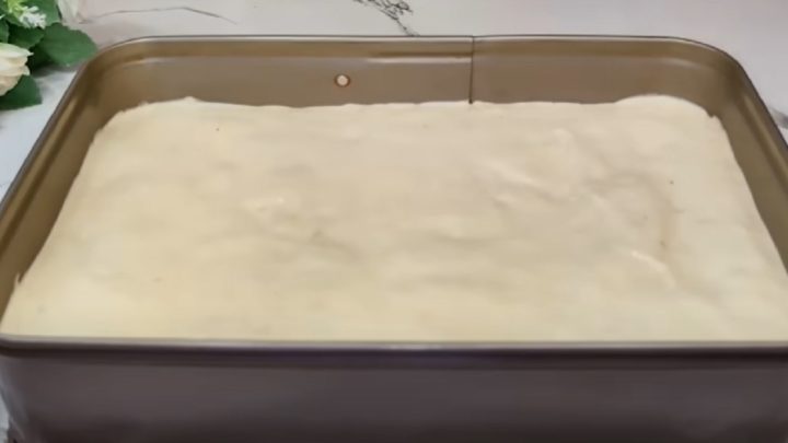 Salko řezy na plech s čokoládou