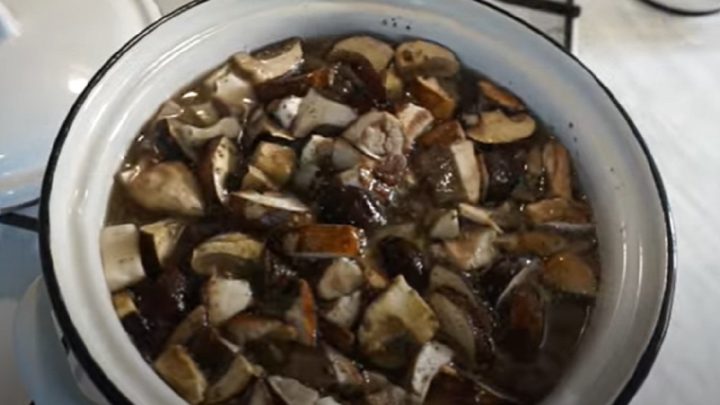 Jednoduchá houbová polévka s vejcem