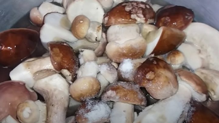 Hříbky v octovém nálevu s divokým kořením