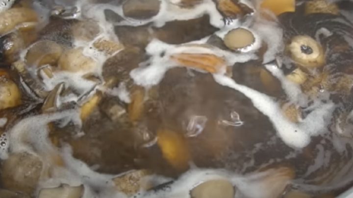 Nakládané houby s česnekem a koprem