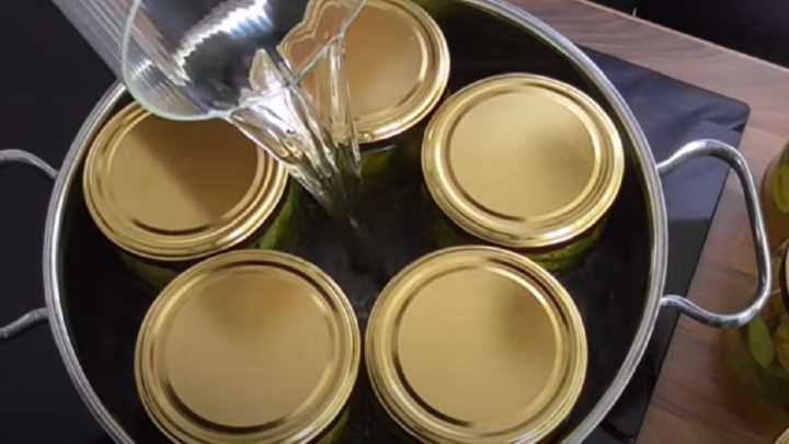 Okurky ve sladkokyselém nálevu