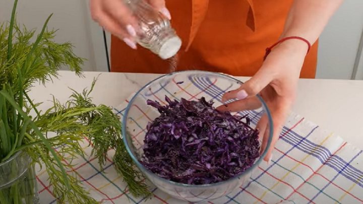 Salát z červeného zelí s cibulí a okurkami