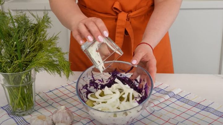 Salát z červeného zelí s cibulí a okurkami