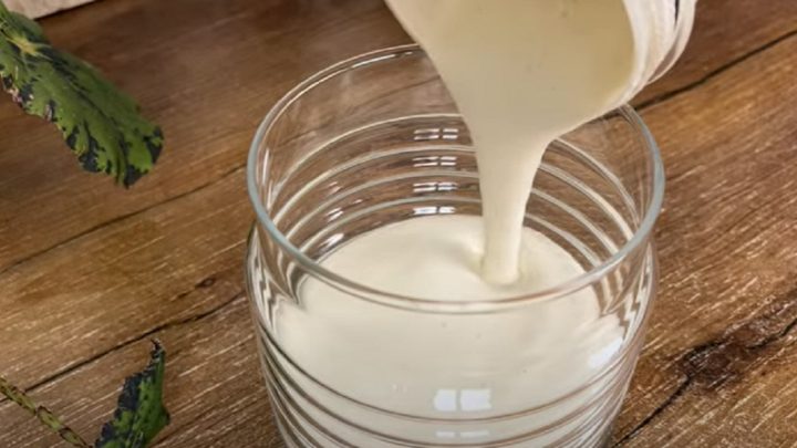 Dietní majonéza bez oleje a vajec