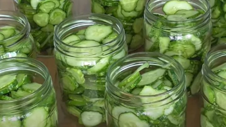 Okurky ve sladkokyselém nálevu
