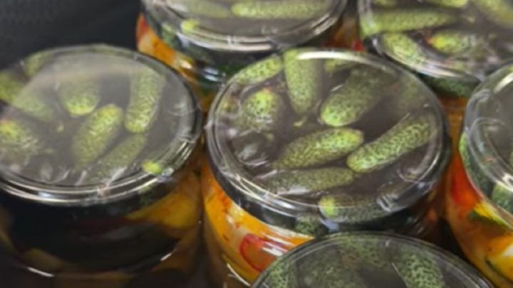 Cukety s chilli v pikantním nálevu