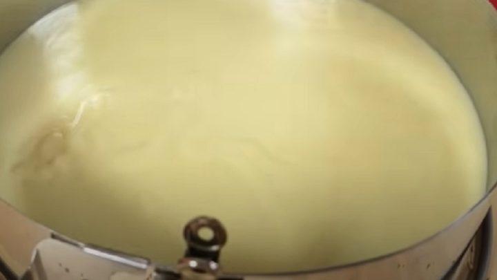 Dort s pudinkovým krémem a vanilkou