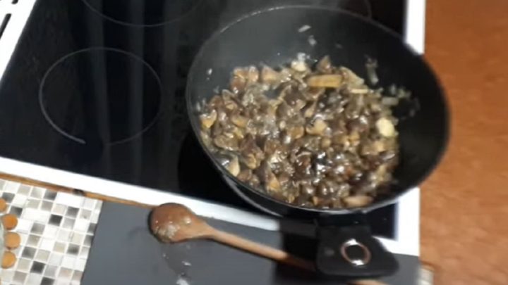 Rychlá houbová smaženice s cibulí