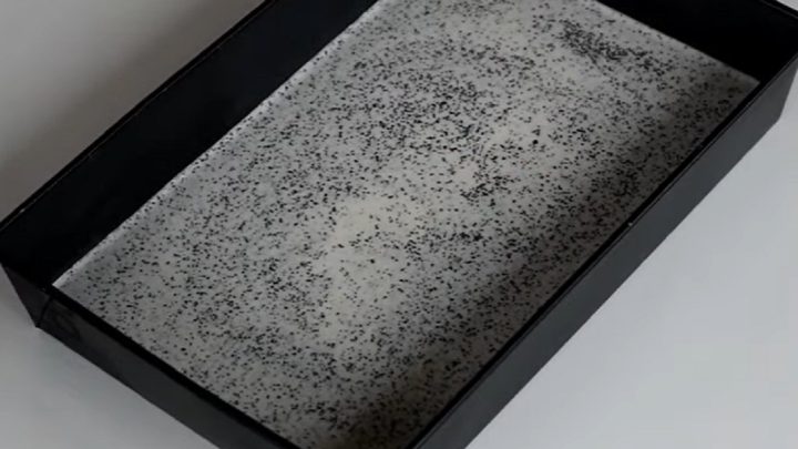 Makové kuličky s ořechy a kokosem