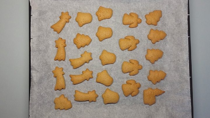 Perníčky s čokoládovou polevou a kokosem