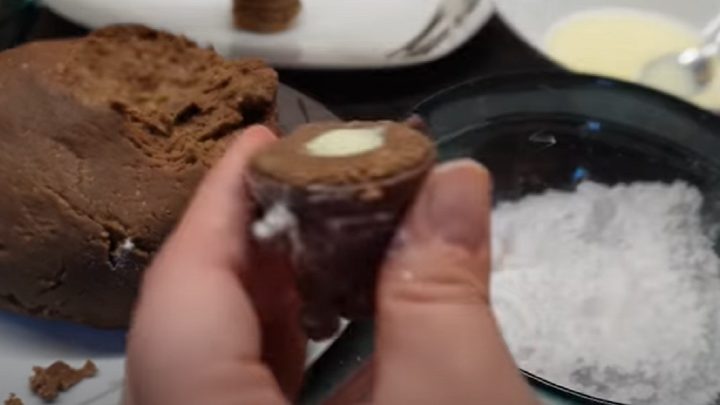 Vosí hnízda se Salkem a piškoty