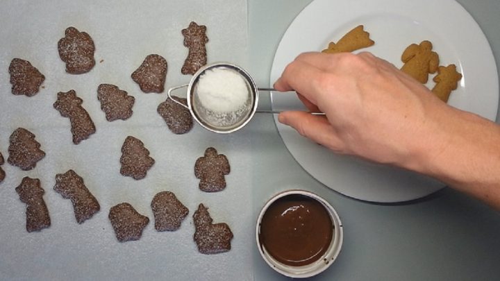 Perníčky s čokoládovou polevou a kokosem