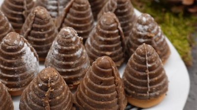 Vosí hnízda se Salkem a piškoty