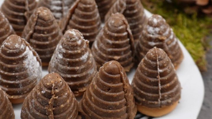 Vosí hnízda se Salkem a piškoty