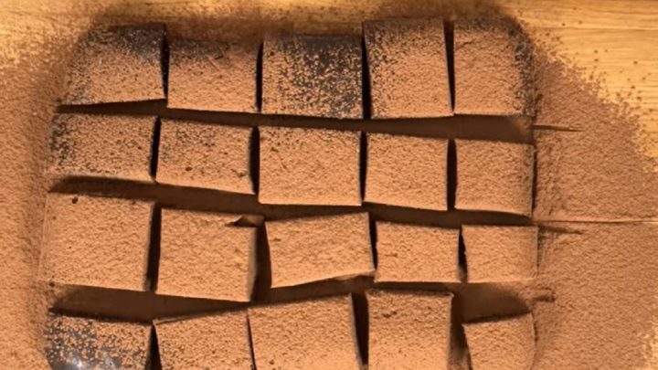 Rychlé čokoládové lanýže se Salkem