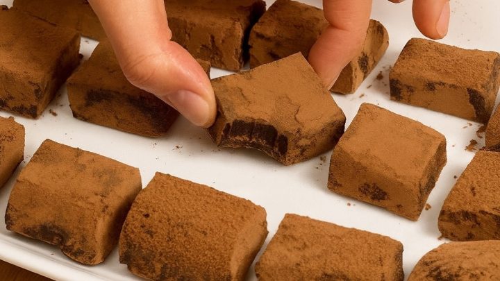 Rychlé čokoládové lanýže se Salkem