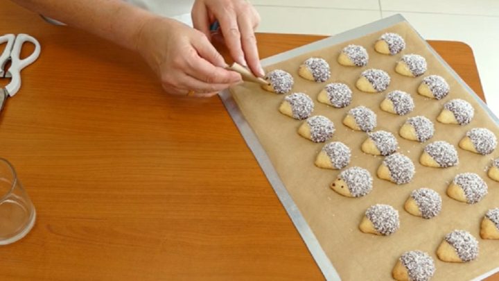 Vánoční ježečci s kokosem a čokoládou