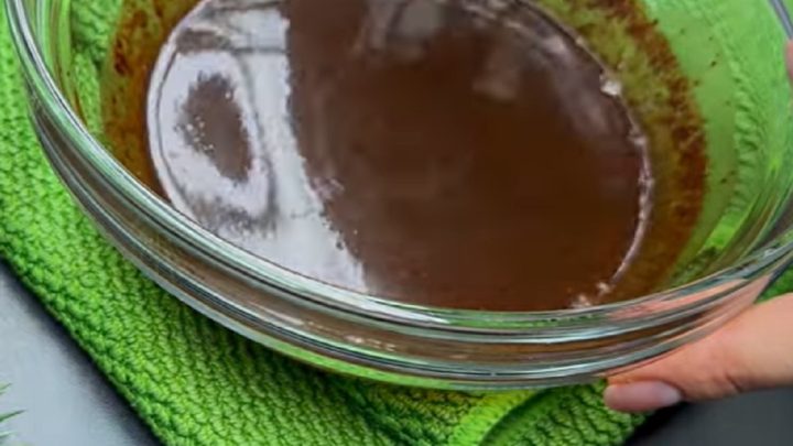 Dietní tvarohový dort s kokosem