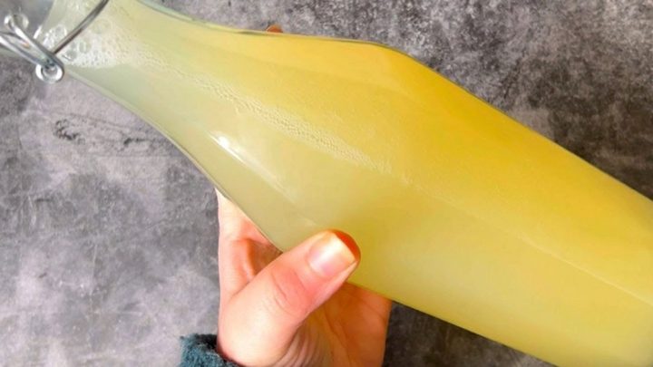 Citrónový probiotický nápoj ze 4 surovin