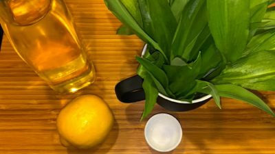 Domácí olej z medvědího česneku