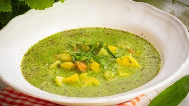 Jarní polévka z medvědího česneku