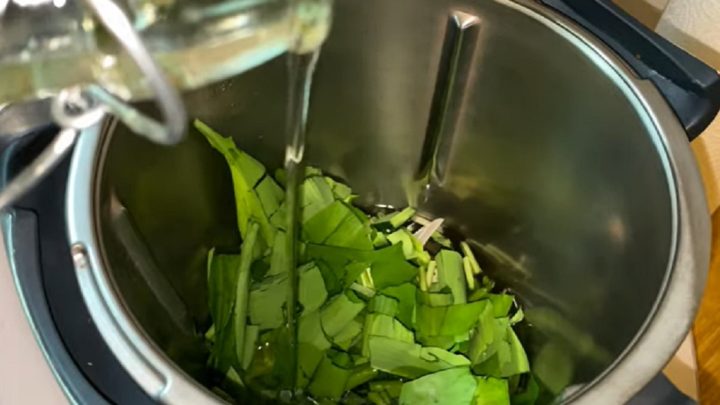 Domácí olej z medvědího česneku