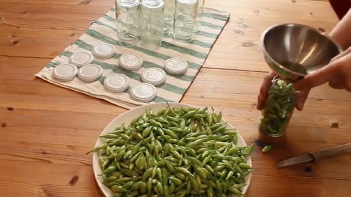 Domácí kapary z medvědího česneku