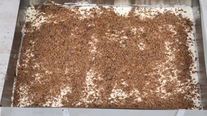 Kakaové řezy s vanilkovým krémem