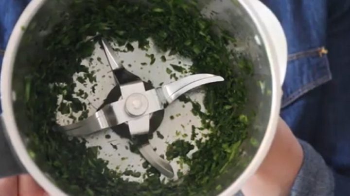 Domácí sůl z medvědího česneku