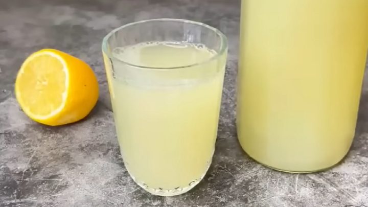 Citrónový probiotický nápoj ze 4 surovin