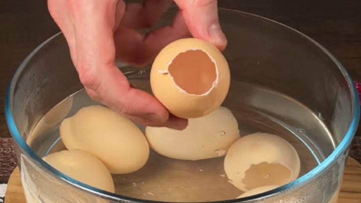 Velikonoční aspiková vejce se zeleninou