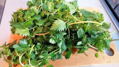 Kopřivová omeleta se smaženou cibulkou