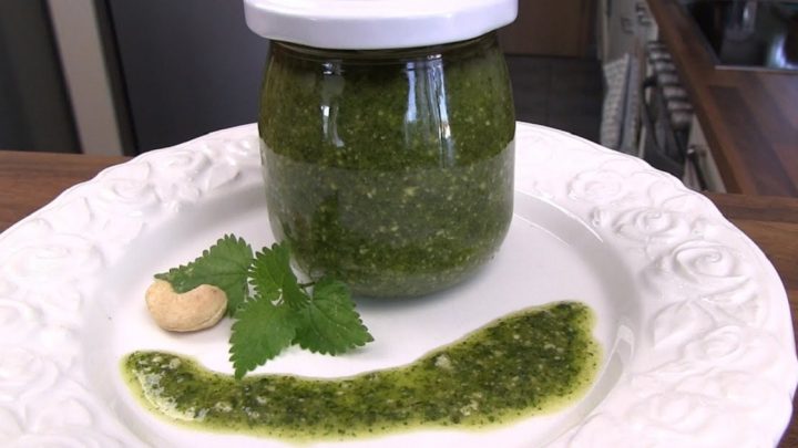 Kopřivové pesto s kešu ořechy Kopřivové pesto s kešu ořechy