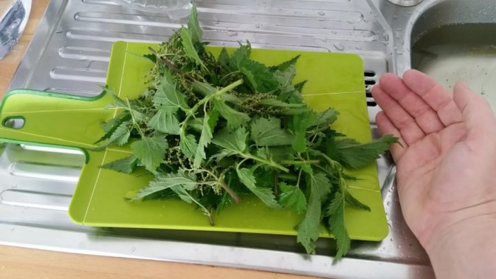 Kopřivový detoxikační nápoj s ovocem Kopřivový detoxikační nápoj s ovocem