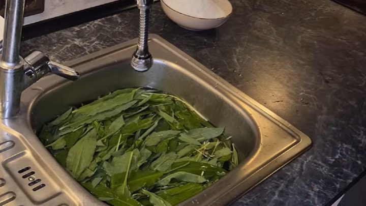 Sůl z medvědího česneku bez sušení v troubě