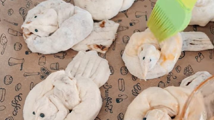 Kynutí ptáčci s rozinkami a ořechy