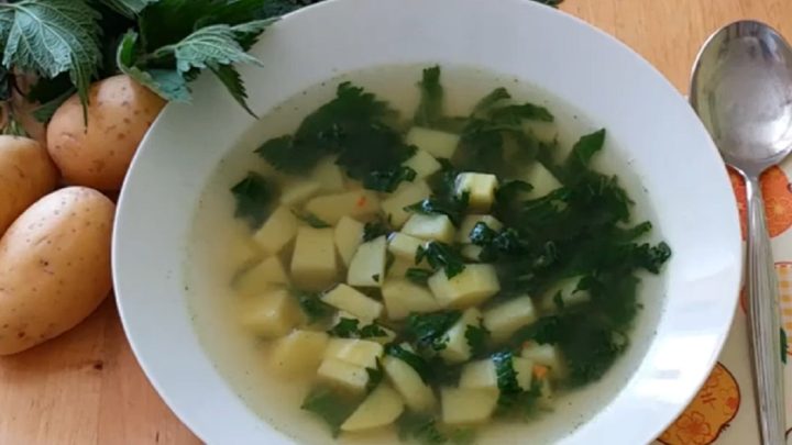 Bramborová polévka s kopřivami