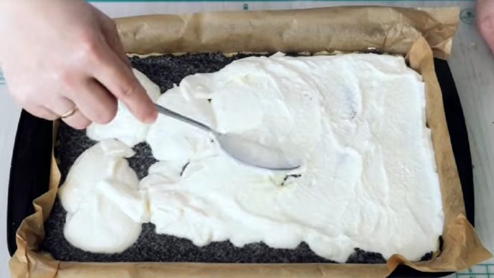 Koláč s mákem, tvarohem a ovocem