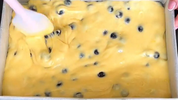 Borůvkový koláč s tvarohovou náplní