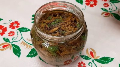 Domácí smrkový sirup bez vaření