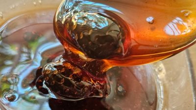 Jednoduchá marmeláda z mladých šišek