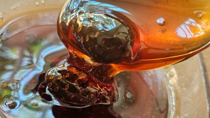 Jednoduchá marmeláda z mladých šišek