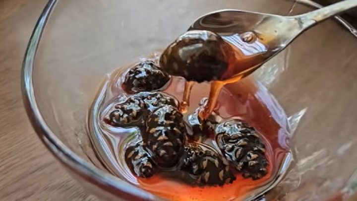 Jednoduchá marmeláda z mladých šišek