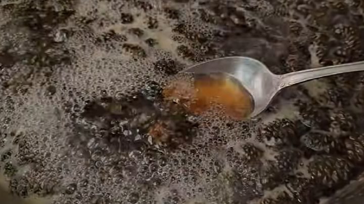 Jednoduchá marmeláda z mladých šišek