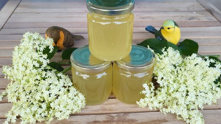 Domácí bezinkový sirup z květů